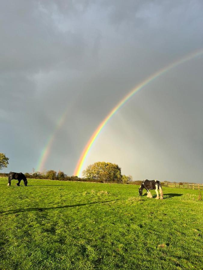 Appaloosa Suite With Amazing Views Of Stud Farm. Driffield Екстер'єр фото